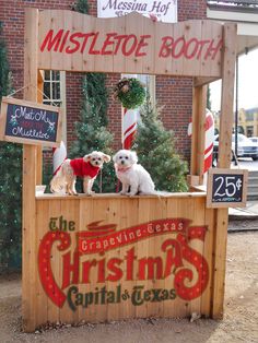 two small dogs sitting on top of a wooden booth with christmas decorations in front of them