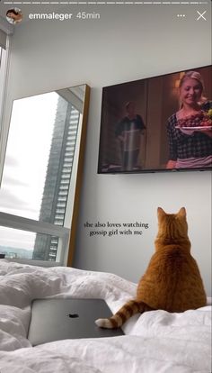 an orange cat sitting on top of a bed next to a laptop computer in front of a window