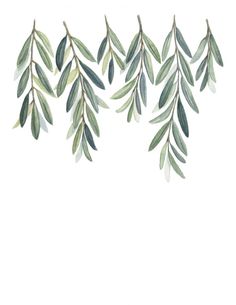 watercolor painting of green leaves on white background