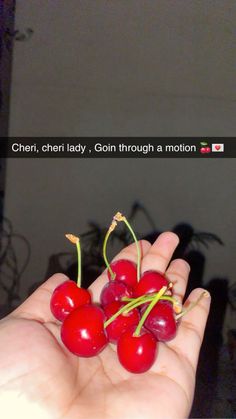 a person holding cherries in their hand with the caption cher, cherri lady, gon through a motion