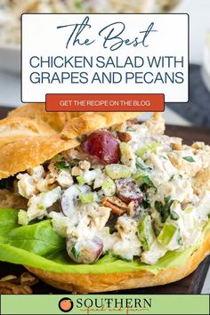 the best chicken salad with grapes and pecans in a croissant bun on a plate