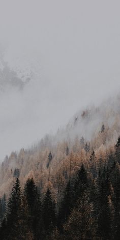 the mountains are covered in fog and trees