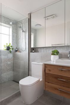 a white toilet sitting in a bathroom next to a walk in shower and wooden cabinets