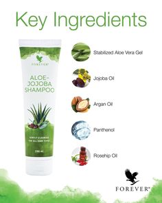 Forever Living Company, Aloe Vera Gel Forever, Aloe Oil, Aloe Vera Benefits, Shampoo Ingredients