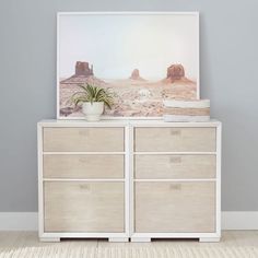 a white dresser with two drawers and a potted plant on top