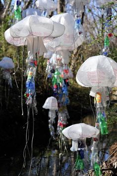 many plastic bottles are floating in the water