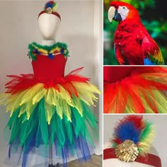 the colorful bird is wearing a tutu and headband