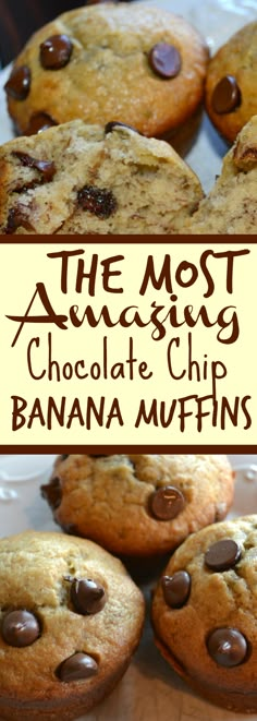 the most amazing chocolate chip banana muffins