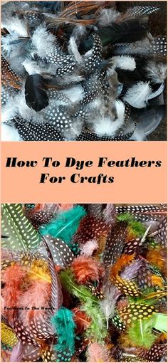 how to dye feathers for crafts with the words, how to dye feathers for crafts