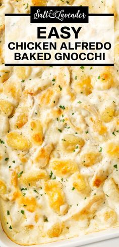 a casserole dish with text overlay that reads easy chicken alfredo baked gnocchi Alfredo Gnocchi Bake, Chicken Alfredo Gnocchi, Alfredo Gnocchi, Cheesy Chicken Alfredo, Gnocchi Bake, Gnocchi Recipes Easy, Gnocchi Recipes Homemade, Gnocchi Dishes, Chicken Alfredo Bake