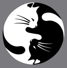 a black and white cat sitting on top of a yin - yang symbol, with the word