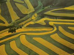 an aerial view of yellow and green fields