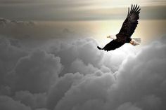 an eagle flying high above the clouds with sun shining down on it's wings