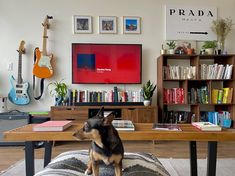 a dog is sitting on the floor in front of a table with books and guitars