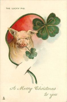 an old fashioned christmas card with a pig holding a four leaf clover in it's mouth