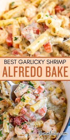 the best garlicky shrimp alfredo bake