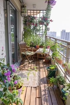 Sunlit narrow balcony lush with vibrant plants, featuring comfy seating and decorative blooms, embodying inspiring small balcony garden ideas. Apartment Garden Aesthetic, Garden In Balcony Apartments, Outside Balcony Ideas, Cute Balcony Ideas, Balcony Plants Ideas, Balcony Garden Ideas Apartment, Balcony With Plants, Apartment Balcony Garden Ideas, Apartment Garden Balcony