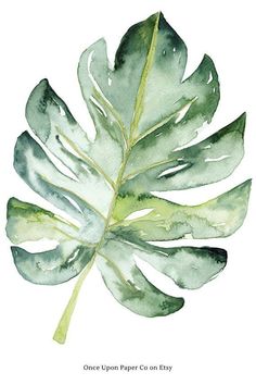 a watercolor painting of a green leaf with the words once uponpapero esty