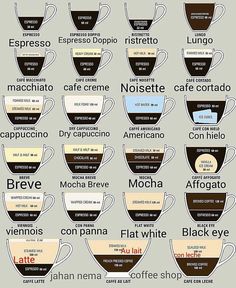 coffee cups with the names of different types of coffees in each cup, and their names