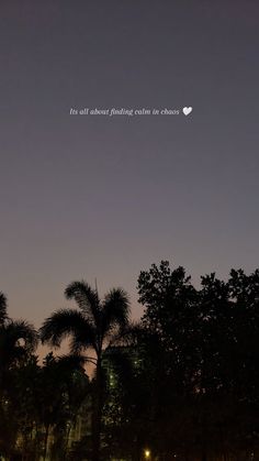 an airplane flying in the night sky over trees