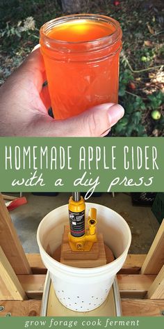 homemade apple cider with a diy press