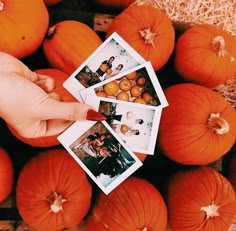 someone holding up four photos in front of pumpkins