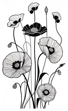 black and white drawing of poppies on a white background, with long stems in the foreground