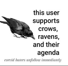 a black and white photo with the words, this user supports crows, ravenns, and their agenda