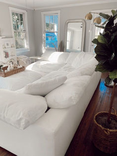 a large white couch sitting on top of a wooden floor next to a potted plant