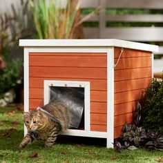 a cat in a dog house on the grass