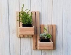 two wooden planters with plants in them on a wall