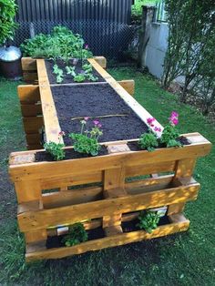 a garden bed made out of wooden pallets with plants growing in the top and bottom