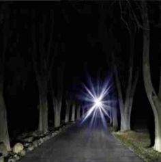 the light is shining brightly in the dark forest road at night with trees and rocks on both sides