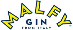 the logo for ale gin from italy