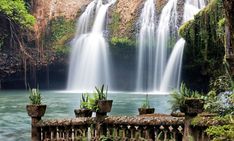 the waterfall is surrounded by greenery and potted plants