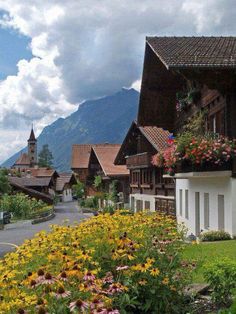 the flowers are blooming on the side of the road in front of houses and mountains