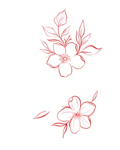 a drawing of two flowers on a white background, one is red and the other has green leaves