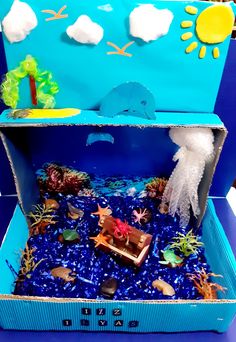 an open blue box filled with sea life