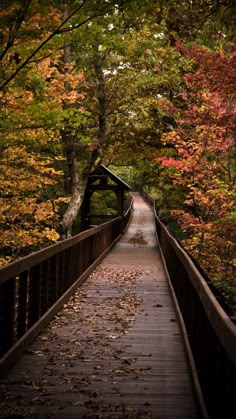 a wooden bridge surrounded by trees with leaves on the ground