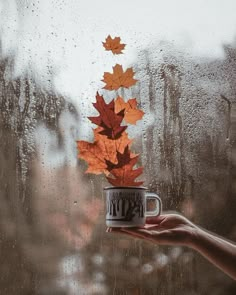 a hand holding a coffee cup with autumn leaves on the window sill behind it