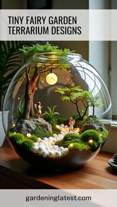 a glass bowl filled with plants and rocks