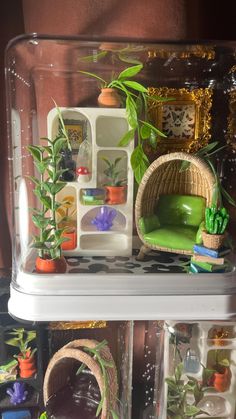 there is a shelf with plants in it and other things on the shelves behind it