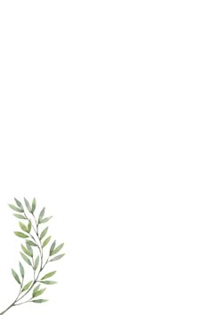 a branch with green leaves is shown against a white background, as well as an empty space for text