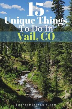 the mountains and trees with text overlay that reads 15 unique things to do in vail, co