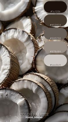 coconuts with brown and white colors are shown in this graphic design scheme for the color palette