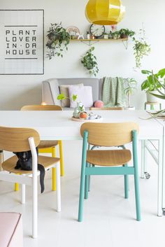 two chairs and a table with plants on the wall