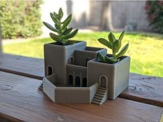 two planters with plants in them sitting on a wooden table outside near a house