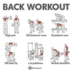 an exercise poster with instructions on how to do back workout