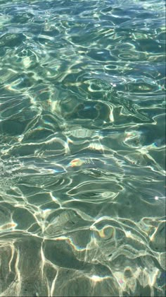 the water is so clear that it looks like they are floating on top of each other