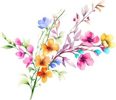 an image of colorful flowers on white background